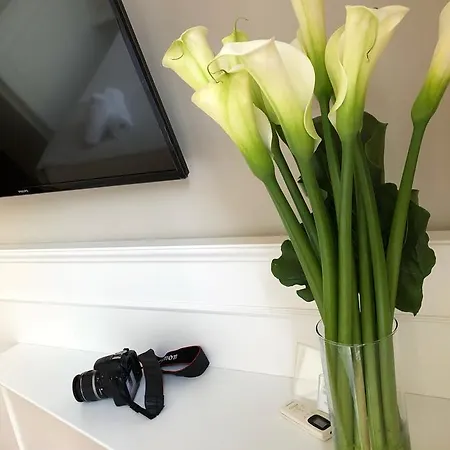 Gæstehus 207